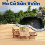 hồ cá sân vườn nhỏ đẹp