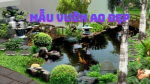 mẫu vườn ao đẹp