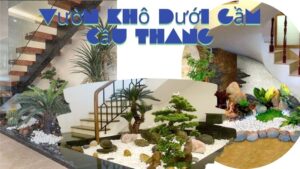 Vườn Khô Dưới Gầm Cầu Thang